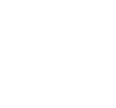 Service Disabled Veteran Owned Small Business