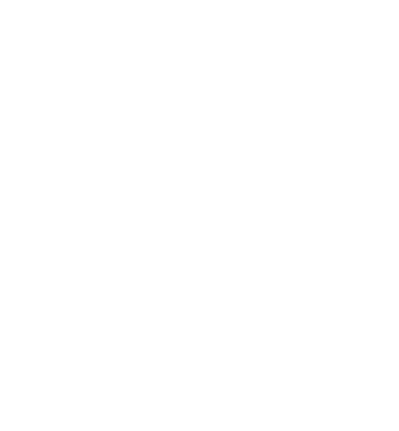 CMMC Level 2
